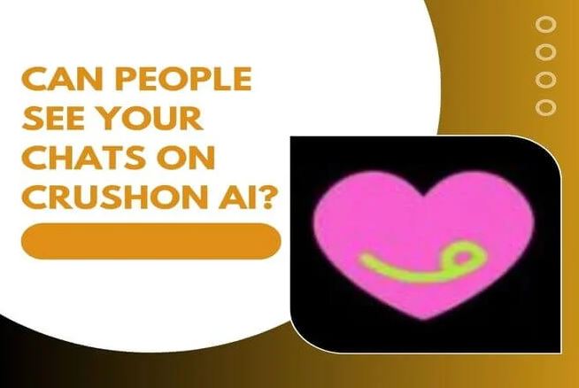 Can People See Your Chats On Crushon Ai?